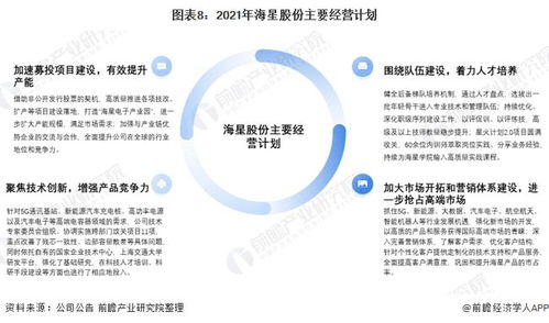 2021年中國電極箔行業(yè)龍頭企業(yè)分析 海星股份——產銷量領先與投資管理咨詢的啟示